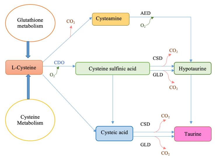 Roles of dietary taurine in fish nutrition
